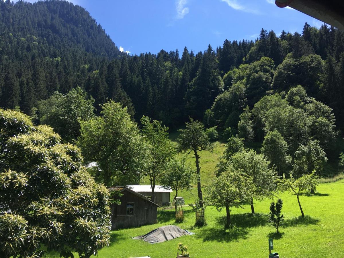 Ferienwohnung Haus Galgenul Sankt Gallenkirch Exterior foto